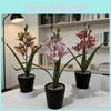 Искусственное растение Цимбидиум Фабери Рольфа в горшке, изготовленное из прочного пластика, для домашнего декора