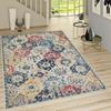 Washable Printed Carpet LNA1465