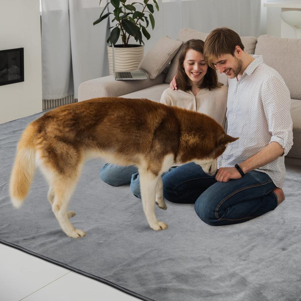 LOOBANI моющийся подстилка для туалета для домашних животных Pet Pet Wee Pet, быстрое выхаживание, супер многоразовый водонепроницаемый коврик, помогающий собакам с мочеиспусканием, идеально подходит для нескольких домашних животных