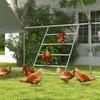 Chicken Perch for Coop, Wooden and Galvanised Steel Roosting Bar Jungle Gym, Chicken Roosting Ladder for Backyard Farm