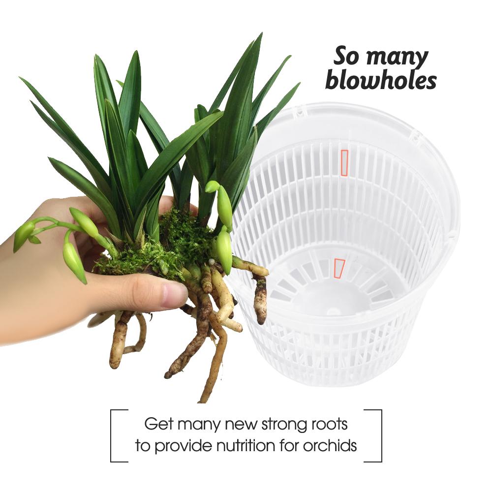 5-20 шт прозрачных пластиковых горшков для орхидей с отверстиями, дышащие, прорезные, для украшения дома, садовые цветочные корзины для помещений и улицы