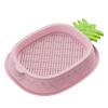 Pineapple Shape Cat Grass Planting Box Planting Hydroponics Box Soilless Hydroponic Cat Grass Case Cat Grass Planter Tray