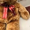 [USED] Brown Bear Teddy Bear, Large Size