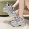 Silver Dad Shoes Female Autumn New Popular Women's Shoes Lace Up Versatile Thick Bottom Increased Height Casual Sports Single Shoe