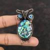 Подвеска в виде ракушки абалон, медная проволока, обернутая драгоценным камнем, черная подвеска от сглаза, медные украшения ручной работы, кулон в виде совы, подарок для женщин