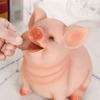 Decoration Ornament Pig Shaped Birthday Gift Pig Statues Money Box Coins Storage Box Piggy Bank