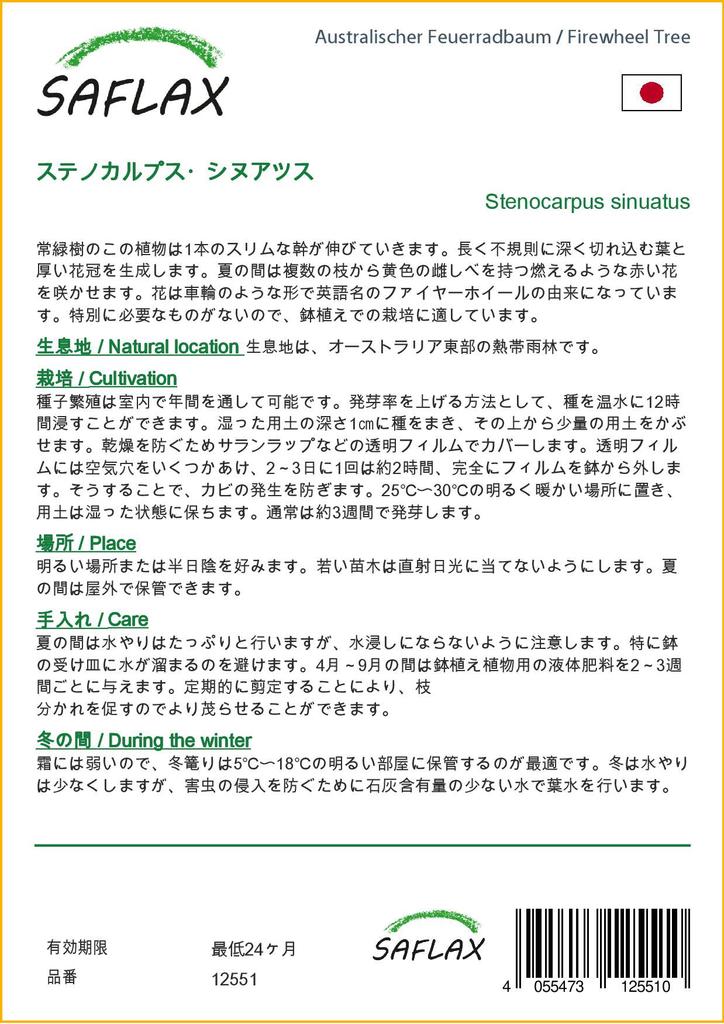 SAFLAX Дерево Firewheel Tree - 20 семян - С горшечным субстратом для лучшего выращивания - Stenocarpus sinuatus