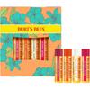 Official Burt's Bees Lip Balm Gift Set Sweet Mandarin Coconut Pear Water Melon (Watermelon) / 4.25g) Additive-free