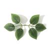 30/50Pcs Silk Rose Artificial Leaves Home Room Decor for Wedding Decoration Bride Wrist Flowers Artificial Plants DIY Gift Box