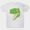 T Shirt Women Dinosaur T Rex Tyrannosaurus Psychedelic Harajuku Print Kawaii Tshirt Summer Short Sleeve Female T-Shirt Top Tee