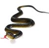 Fake Snake Realistic Garden Plants Lifelike Light Weight Ornament