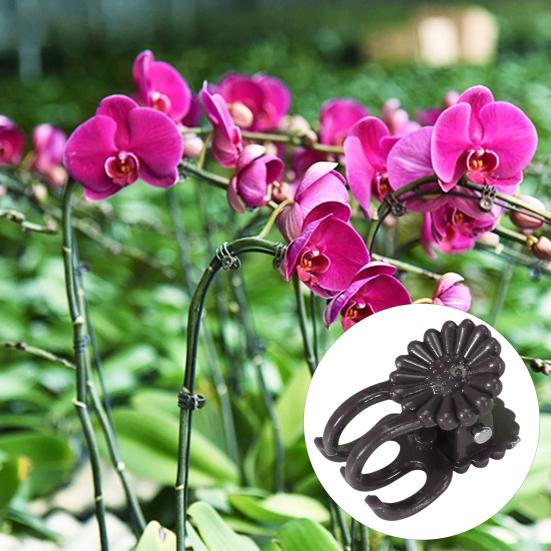100 шт. зажим для стебля орхидеи универсальные стабильные экологически чистые зажимы для поддержки растений для более здоровых продуктивных растений