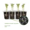 Mini Greenhouse Plant Germination Base 6/12Grids Cultivation Planting Box Seed Starter Tray  Garden