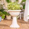 With Drainage Holes Goblet-shaped Ring Resin 23 Cm 1 Pc