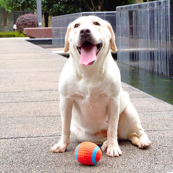 Собаки Резиновая Жевательная Форма Игрушка Пищащая Собака Щенок Прорезыватель Игрушка Милый Животный Жевательный Мяч