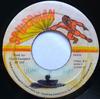 7-дюймовая пластинка PATRICK ANDY What A Heat ST105 Человек-паук US Reggae Ska Dub Б/у