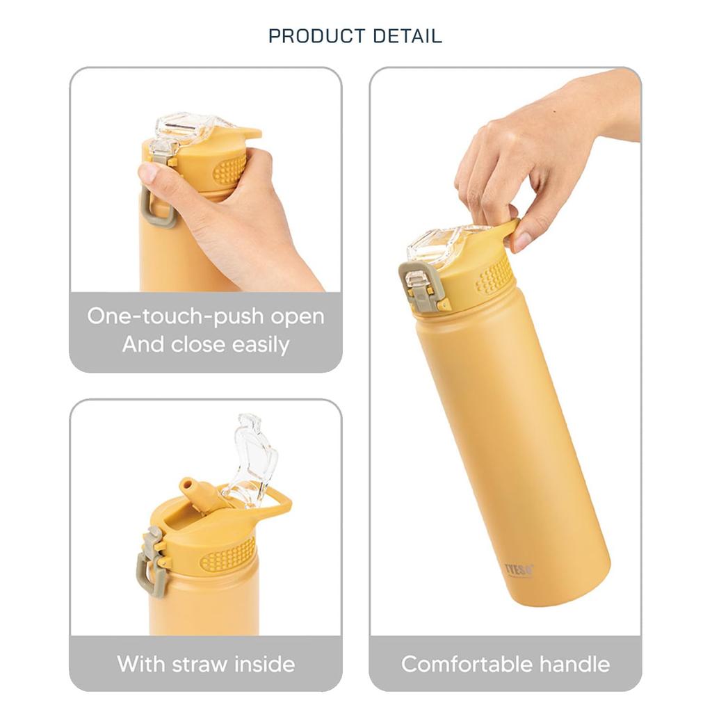 Tyeso Water Bottle with Lid Insulated Stainless Steel Thermos Travel Sports Water Bottles For Cold and Heat Thermal Mug