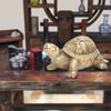 Чистая латунь ручной работы Черепаха долголетия Домашний фэн-шуй орнамент подарок Символ мира
