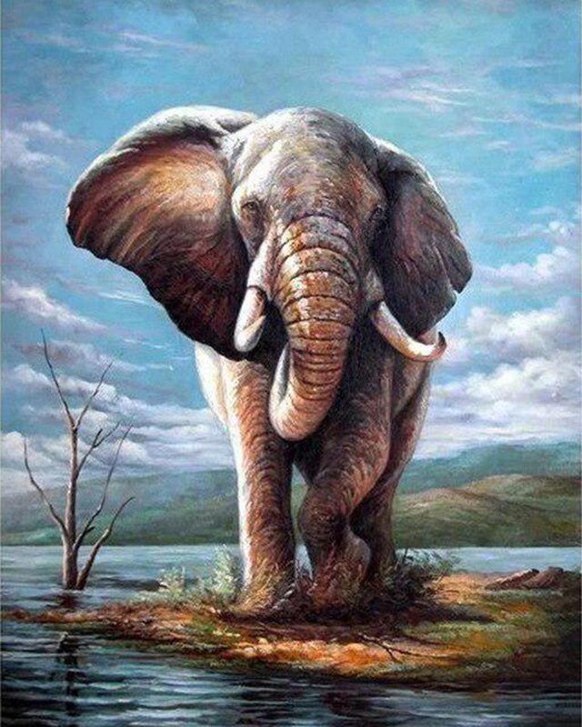 5D Алмазная вышивка Слон Полный квадратный круглый вышивка крестиком Алмазная картина Животное Мозаика Рукоделие Украшение дома