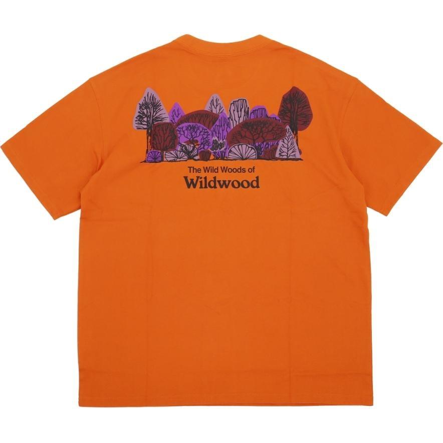 Nike Acg Wildwood T shirt Men's FJ1132-893