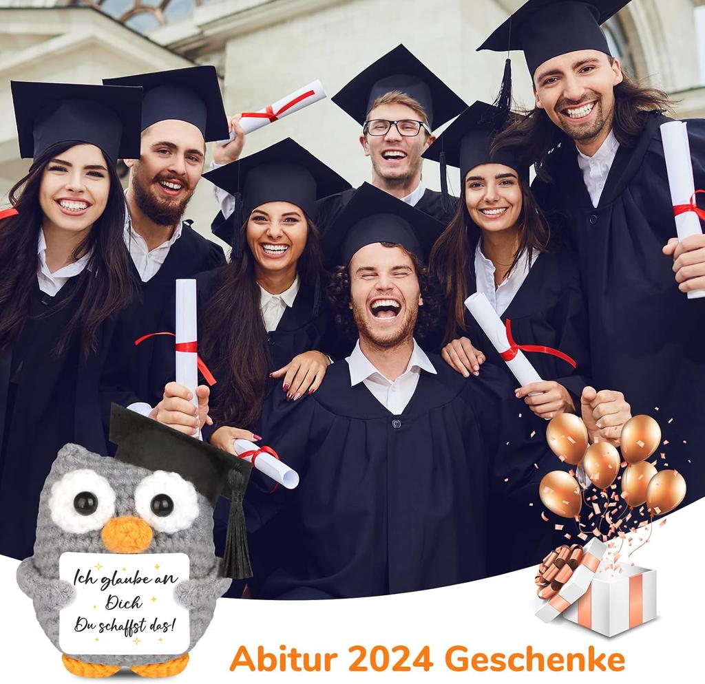 Knitted Owl Positive Gifts, Pocket Hug Owl, Encouragement Gift, Get Well Soon Gift, Lucky Charm Exam Gift, Owl Doll, Pack of 1