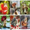 5D DIY Diamond Painting Cute Squirrel Diamond Embroidery Snow Scene Cross Stitch Full Round Drill Home Decor Manual Gift