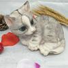 Силиконовая форма для кота, силиконовая форма для мороженого, мусса, торта, силиконовая форма, форма для моделирования животных