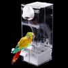 Automatic Bird Feeder Cage Clear Parakeet Treats Seed Container,Parrot for