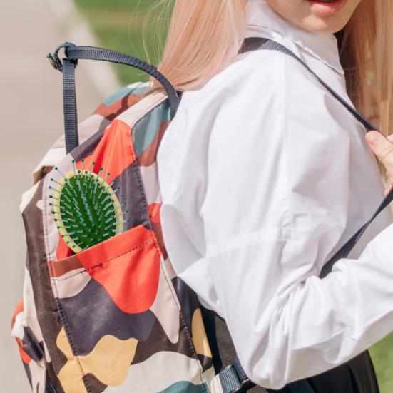 Hair Brush with Ergonomic Handle Ultra-Soft Bristle Minimize Pain Split Ends Breakage Massage Scalp Comb