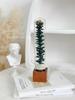 Retro Glass Dome Plant Specimen with Preserved Dried Flowers - Ideal Gift for Graduation, Birthday, Valentine's Day, or Teacher's Day.
