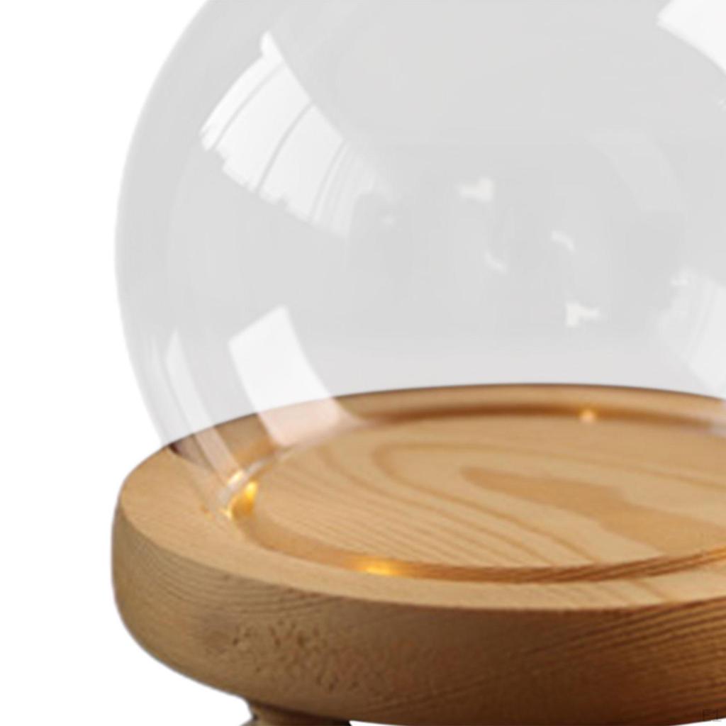 Прозрачный стеклянный колпак декоративный шар-банка круглый многоцелевой глобус витрина для коллекционирования