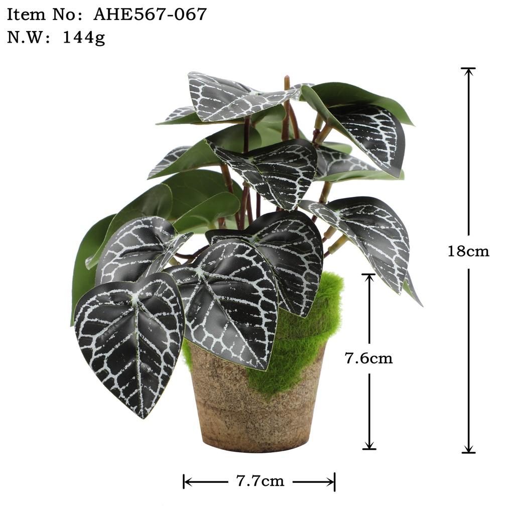 Искусственные зеленые растения для настольного украшения в помещении Эвкалипт Лист банана Спина черепахи Маргаритка Гибискус