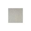 Papier scrapbooking:Poudre de paillettes, 30,5x30,5cm, 200 g/m2, argent