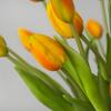 Искусственный цветок тюльпана Real Touch, 7 головок, искусственный букет, искусственный цветок для свадебного украшения, цветы, домашний декор для вечеринки