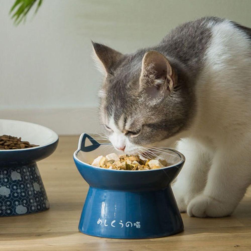 Anti Vomiting Tilted Elevated Cat Food Bowl Pet Supplies Water Feeder Container Pet Feeder Bowl