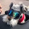 Очки Cool Pet Dog Goggles Dog Outdoor UV Protection Sunglasses Dog Accessories Защита глаз Водонепроницаемые ветрозащитные регулируемые ремни