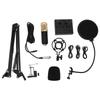 Podcast Equipment Bundle Condenser Microphone with Live Sound Card Kit for Live Streaming Singing