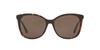 Sunglasses 0HC8271U 512073 Dark BROWN LENS 57 [Coach] Tortoise/DARK