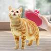 Pet Bathing Brush Cat Massage Brush Comb Rubber Glove Haircut Massage Brush Pet Clean Cleaning Products