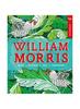 Книга V&A Introduces: William Morris