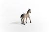 Schleich Horse Club Криолло Дефинитивно Возраст Реалистичная Лошадь Животное Игрушка 13949 (жеребенок) Фигура, 6+,