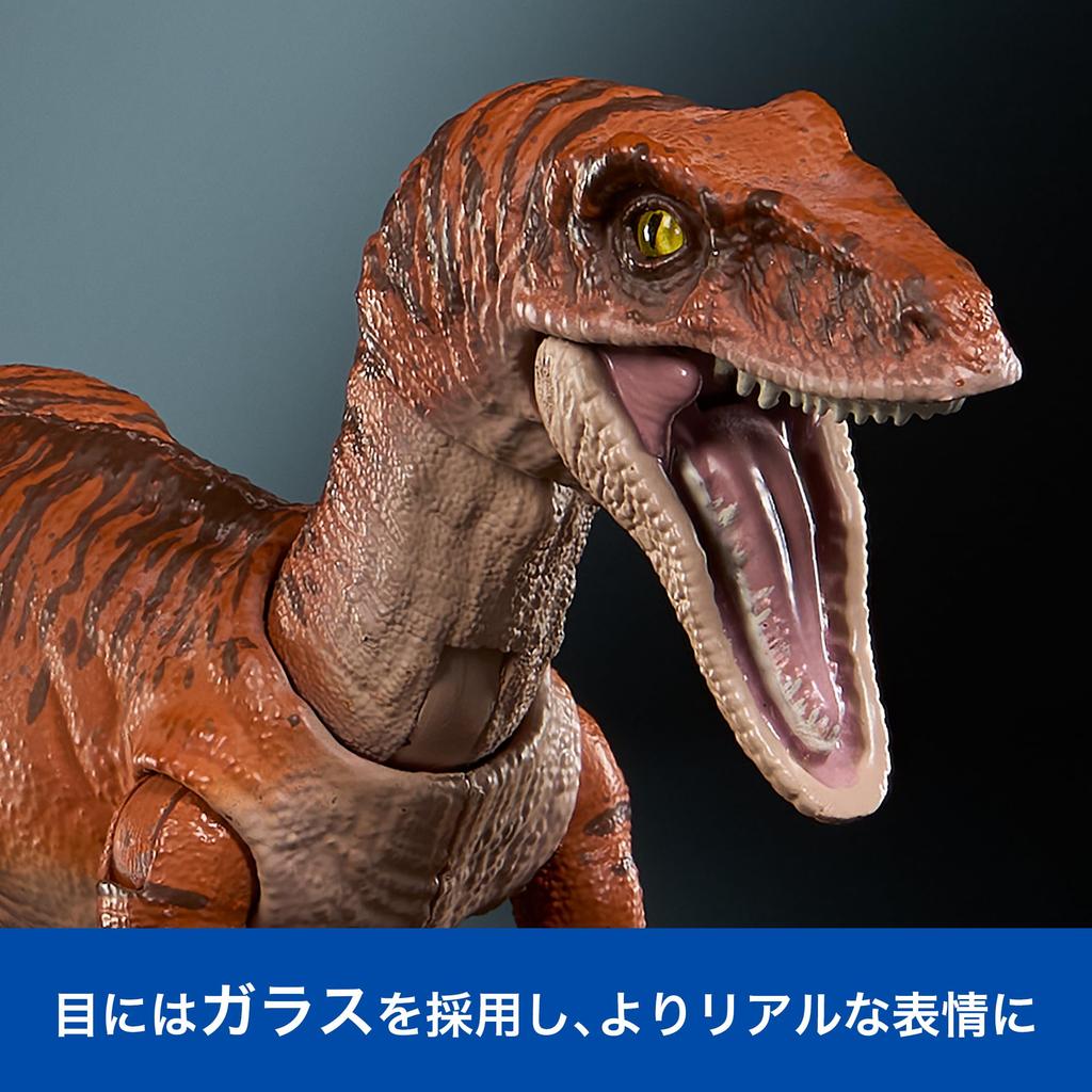 Mattel Jurassic World Hammond Collection Velociraptor Tiger Figure for Moving Dinosaur Approximately Inches Ages 8 and JDJ09 Kids, Toy, Large, 7.5
