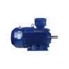 Wolong Nanyang YBX3-H Low-Voltage Marine Explosion-Proof Three-Phase Asynchronous Motor