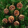 Natural Wooden Pine Cone Christmas Tree Ornaments, Set of 6, 4cm