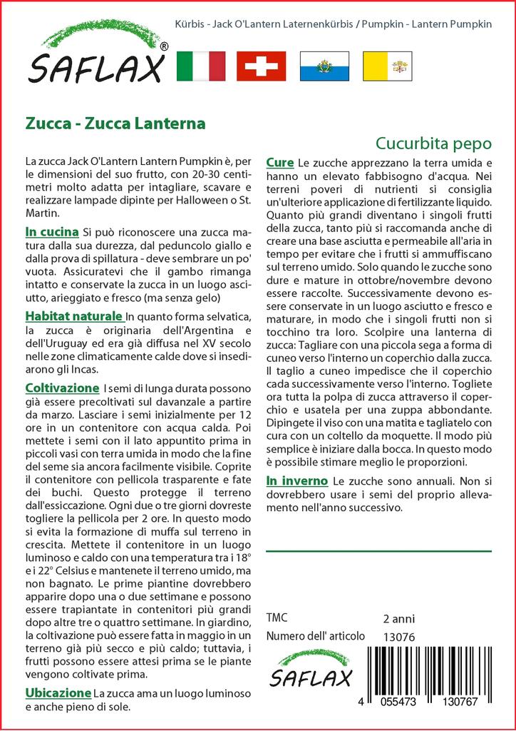 SAFLAX Тыква - Тыква-фонарь - 10 семян - Cucurbita pepo
