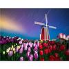 5D DIY Алмазная картина Вышивка крестиком Круглая Алмазная вышивка Тюльпан и Ветряная мельница Изображение