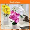 Phalaenopsis Artificial Potted Plant Silk Fabric Material Props Photography