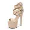 Summer Nightclub Pole Dancing Shoes Platform Shoes 16.5CM Party Rivet Ankle Strap Sandal Women Model Extreme High Heels Sandals