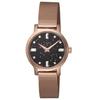 Watch Transcend Celestial Black Dial Brass Mineral Glass Quartz 31MM Philippines Watch TW2V52100 Pink Gold [TIMEX] Women's [Item]