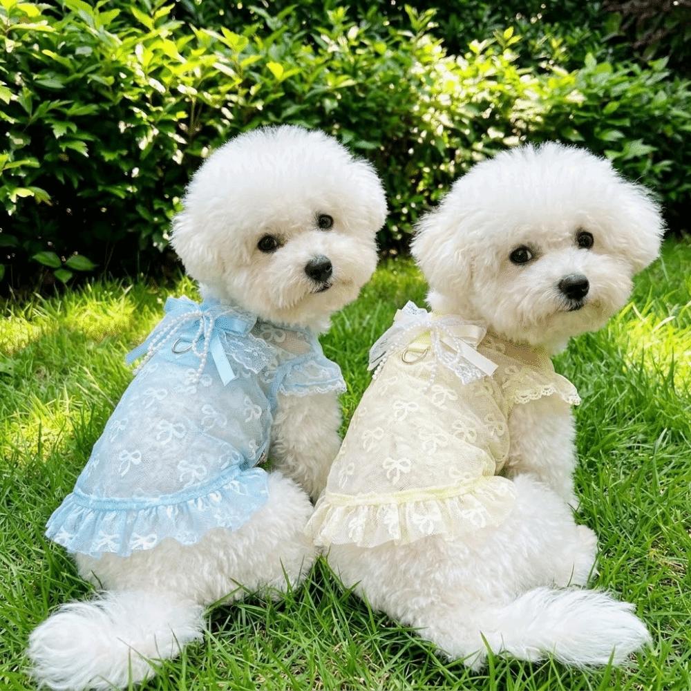 Hollow Out Anti Mosquito Bite Dog Vest UV Protection Anti Shedding Pet Clothing Outdoor